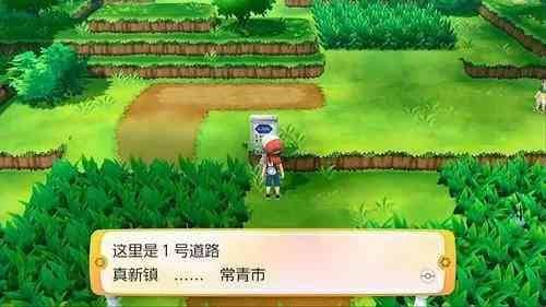 口袋妖怪/精灵宝可梦：究极之日究极之月