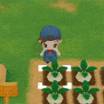 牧场物语：重聚矿石镇