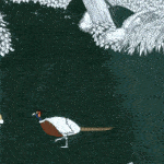 展现山茶花的故事/Unfolded : Camellia Tales