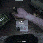 边境检察官/border officer