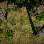 僵尸警戒/Zombie Watch（正式版）