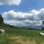 疯狂运输2/Transport Fever 2（v33718）