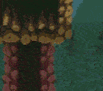 怪物圣所/Monster Sanctuary（V1.3.0.18-豪华版+DLC怪物图鉴+原声音乐）