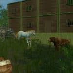 荒野的试炼/Trials Of Wilderness