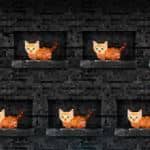 烛火地牢2：猫咪的诅咒（V2.0）