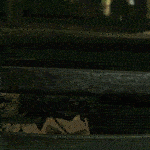 如龙极/Yakuza Kiwami