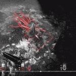 彼岸花/Othercide（整合美丽永存DLC）