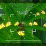 马拉维拉岛的奇禽异兽/Beasts of Maravilla Island