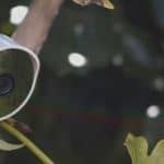 血岸岛/Bloodshore