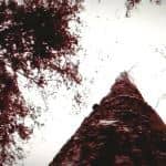 狼人之末日怒吼：地灵之血/Werewolf: The Apocalypse Earthblood