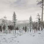 埃尔祖鲁姆/Erzurum