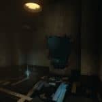 活体脑细胞/SOMA